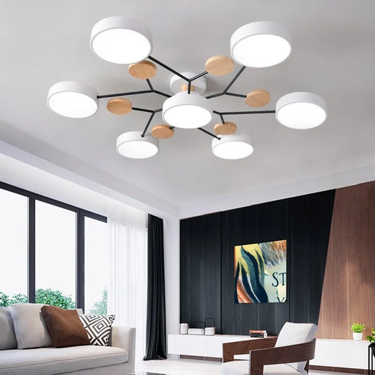 Elegant LED Ceiling Chandelier Light with Color Change Feature | Modern Design for Living Room and Bedroom 1